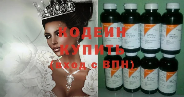 прущие грибы Ессентукская