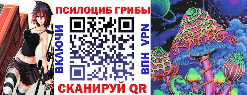 omg tor Балашов Псилоцибиновые грибы MAGIC MUSHROOMS